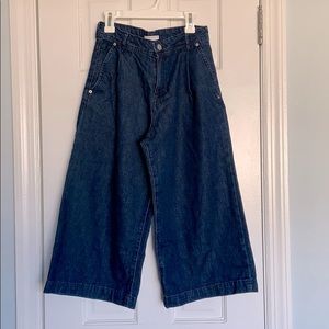 Zara Pleated-detailing Denim Culottes